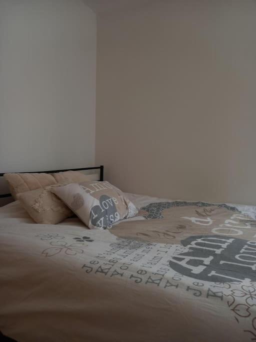Le Doubs Cosy Lägenhet Besançon Exteriör bild