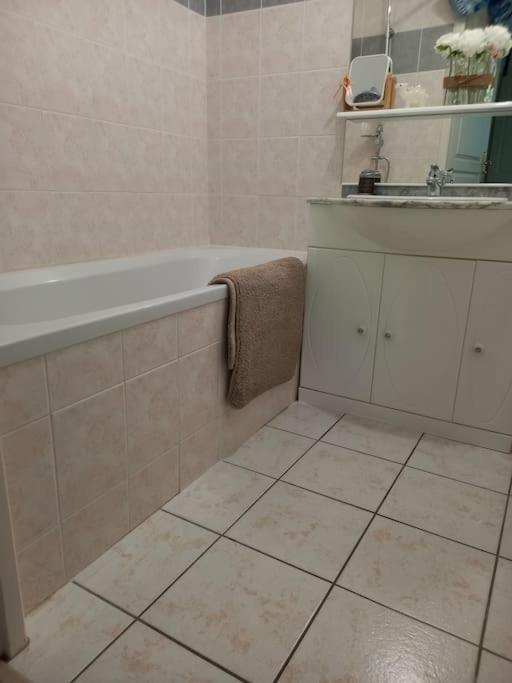 Le Doubs Cosy Lägenhet Besançon Exteriör bild